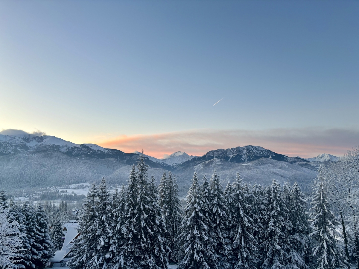 Prognoza meteorologiczna i szczegółowa prognoza hydrologicznana kolejne 7 dni (20-26.12.2024 r.)