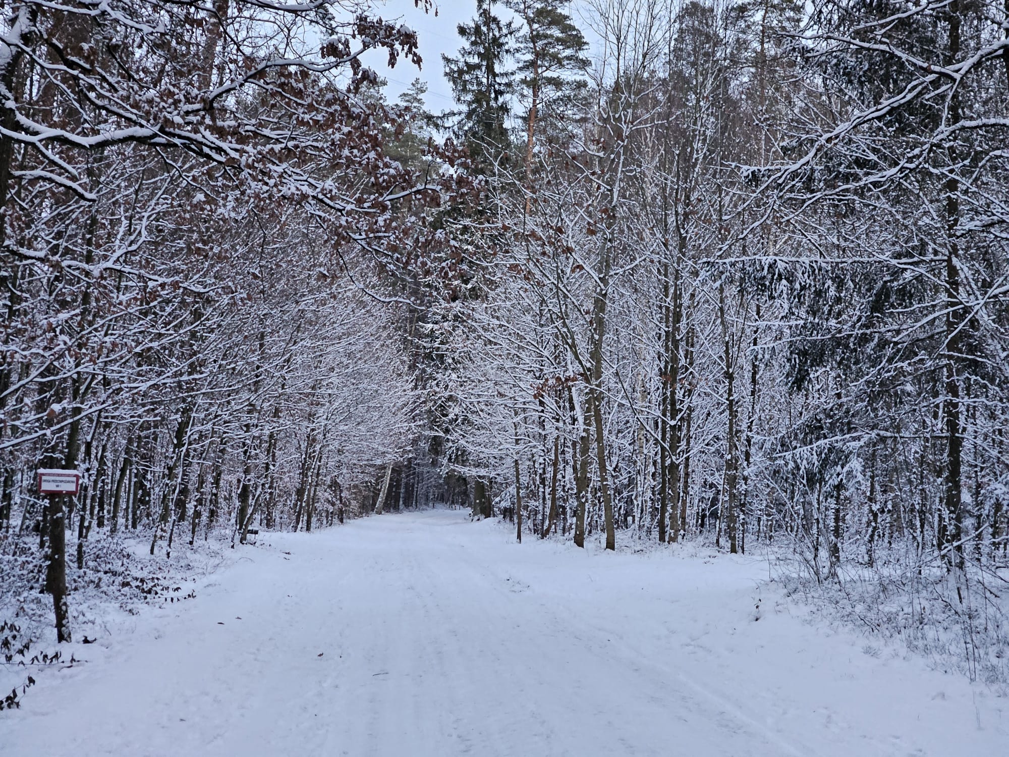 Synoptyczna prognoza pogody na weekend 10-12.01.2025 r.