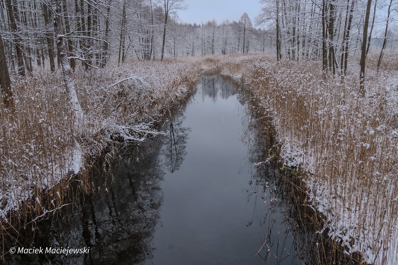 Prognoza synoptyczna na 3. tydzień roku (13-19.01.2025 r.)