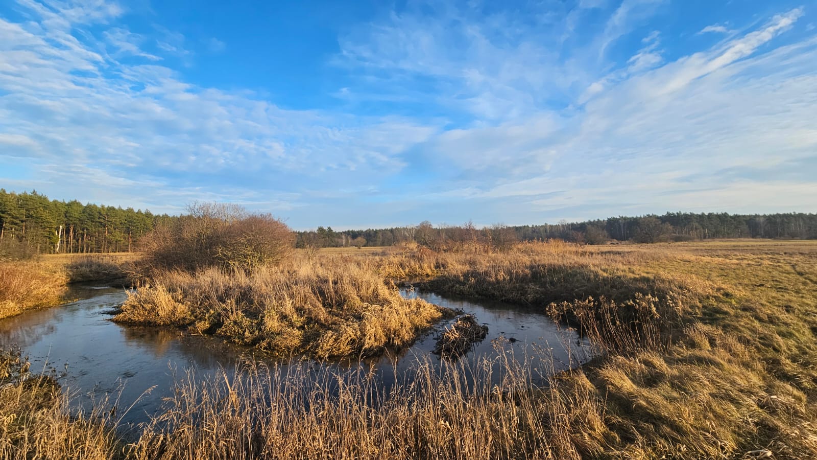 Prognoza meteorologiczna i szczegółowa prognoza hydrologicznana kolejne 7 dni (31.01-06.02.2025 r.)