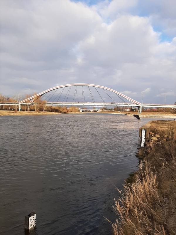 Stacja Ostrołęka, rzeka Narew, 30.01.2025 r. Fot. Przemyslaw Krassowski