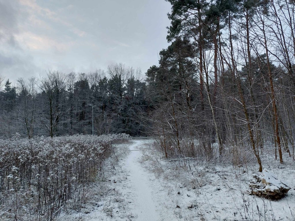 Prognoza meteorologiczna i szczegółowa prognoza hydrologicznana kolejne 7 dni (10-16.01.2025 r.)