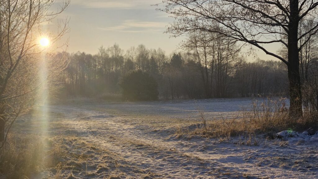 Mroźny poranek na Mazowszu, 17.02.2025 r. Fot. Izabela Adrian |IMGW-PIB