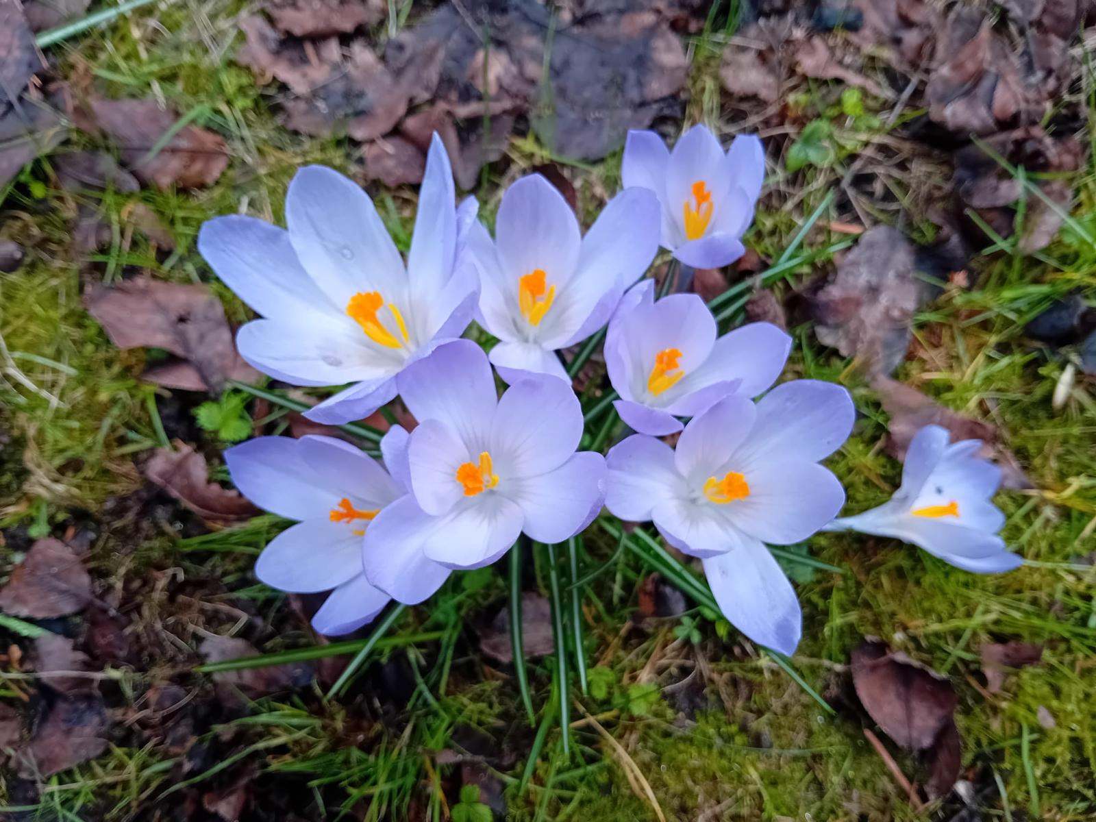 Prognoza synoptyczna na 10. tydzień roku (03-09.03.2025 r.)