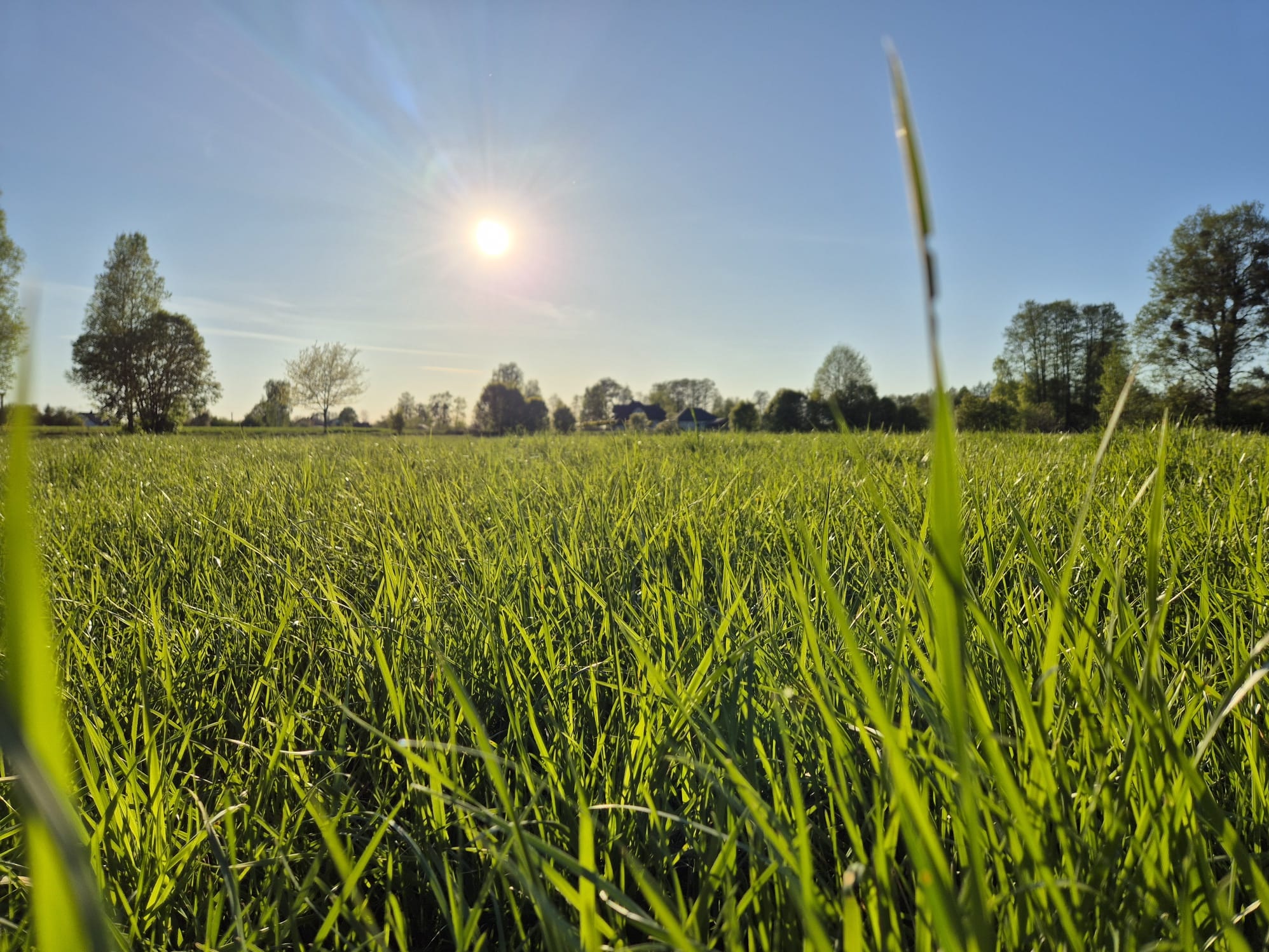 Prognoza synoptyczna na 18. tydzień roku (28.04 – 04.05.2025 r.)