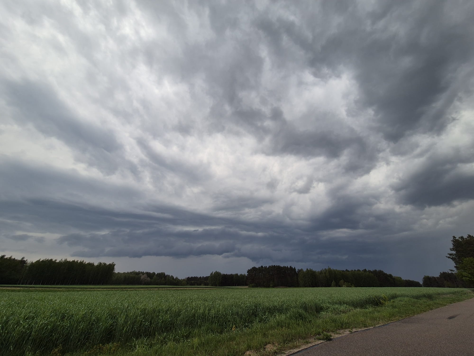Prognoza synoptyczna na 19. tydzień roku (05 – 11.05.2025 r.)