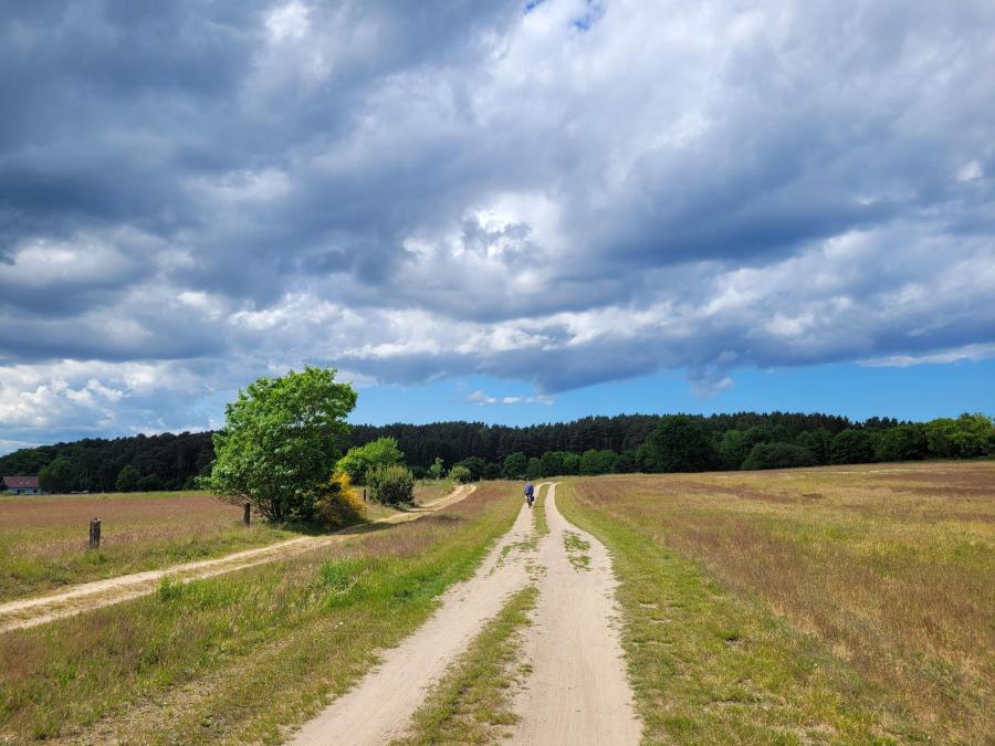 Prognoza pogody na tydzień 13 – 19.06.2025