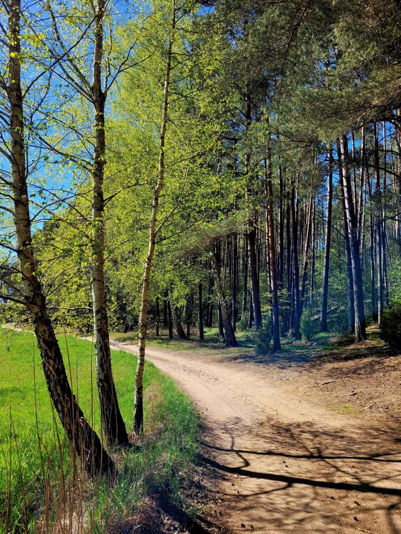 Prognoza pogody na 25. tydzień (16.06 – 22.06.2025)