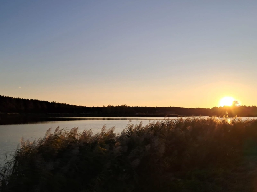Prognoza meteorologiczna i szczegółowa prognoza hydrologiczna  na kolejne 7 dni (25-31.10.2024 r.)