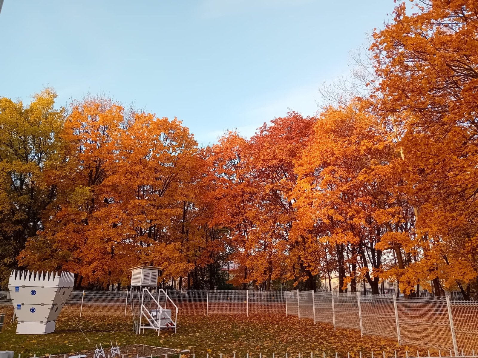 Prognoza synoptyczna na 44. tydzień roku (28.10-03.11.2024 r.)