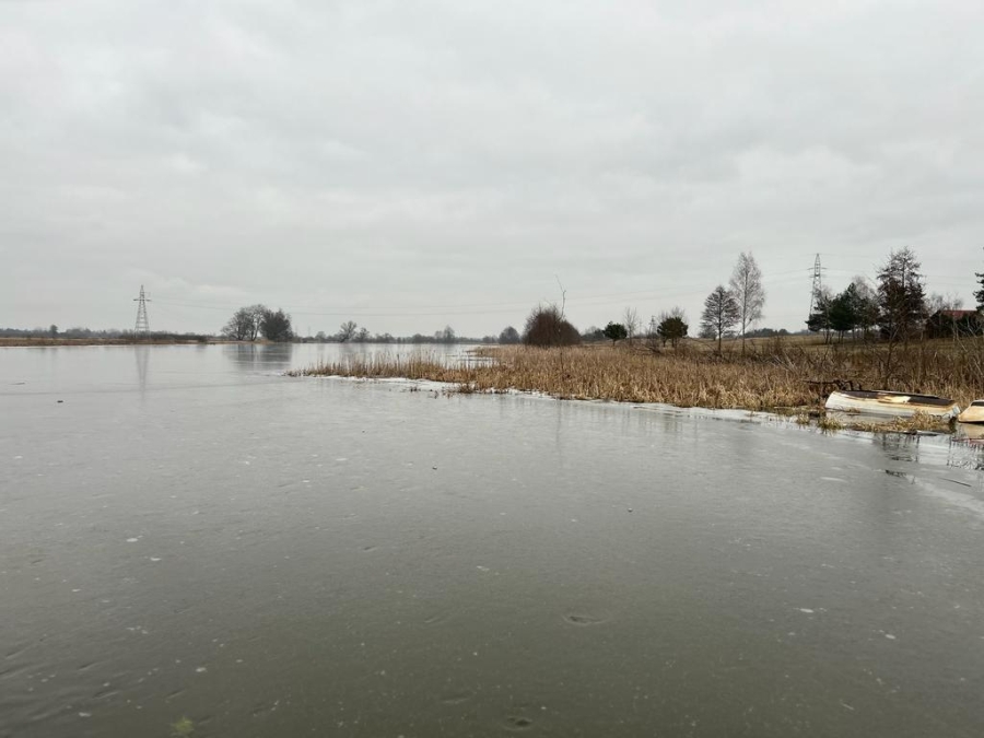 Jezioro Góra, starorzecze Narwi, 28.01.2024 r. Fot. Agnieszka Saluta-Śmiałkowska | IMGW-PIB