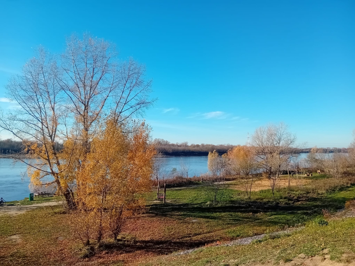 Prognoza meteorologiczna i szczegółowa prognoza hydrologiczna  na kolejne 7 dni (08-14.11.2024 r.)