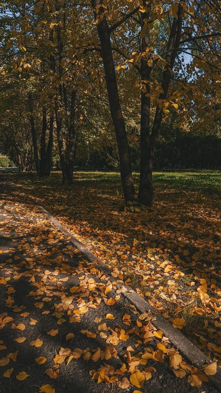 Prognoza pogody na tydzień 29.09 – 05.10.2025