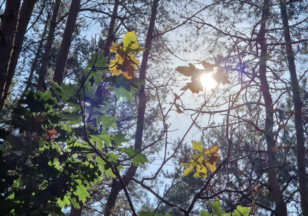 Prognoza pogody na tydzień 22.09 – 28.09.2025