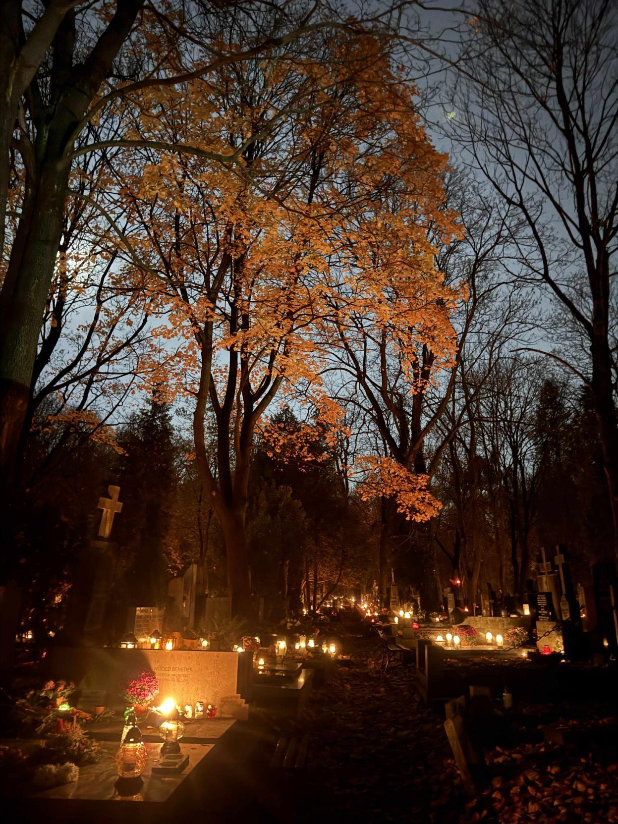 Prognoza pogody na tydzień 03.11. – 09.11.2025