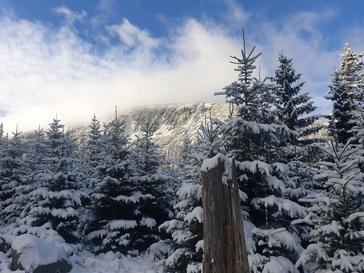 Prognoza pogody na tydzień 21-27.11.2025