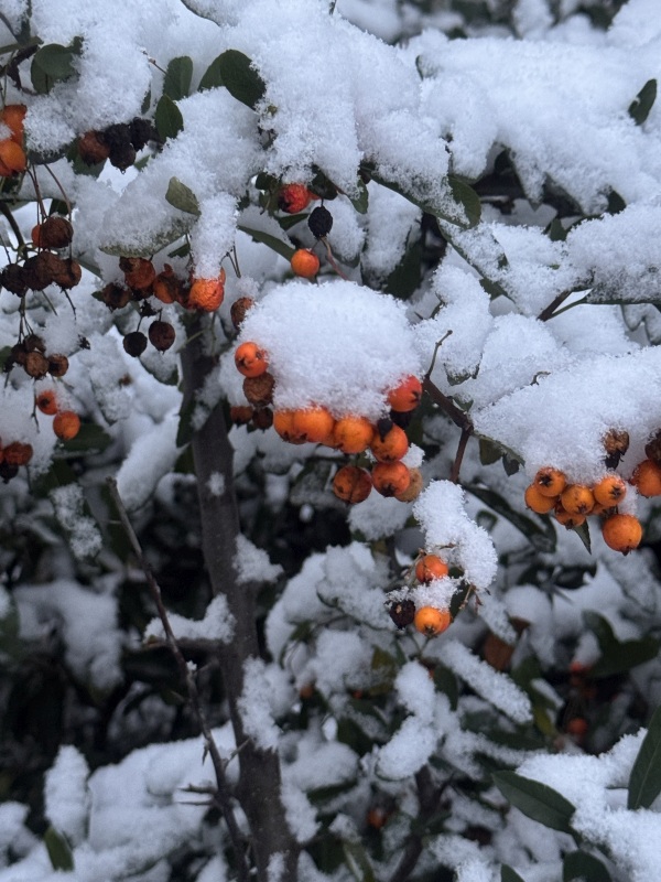 Synoptyczna prognoza pogody od 28.11. do 30.11.2025 r.