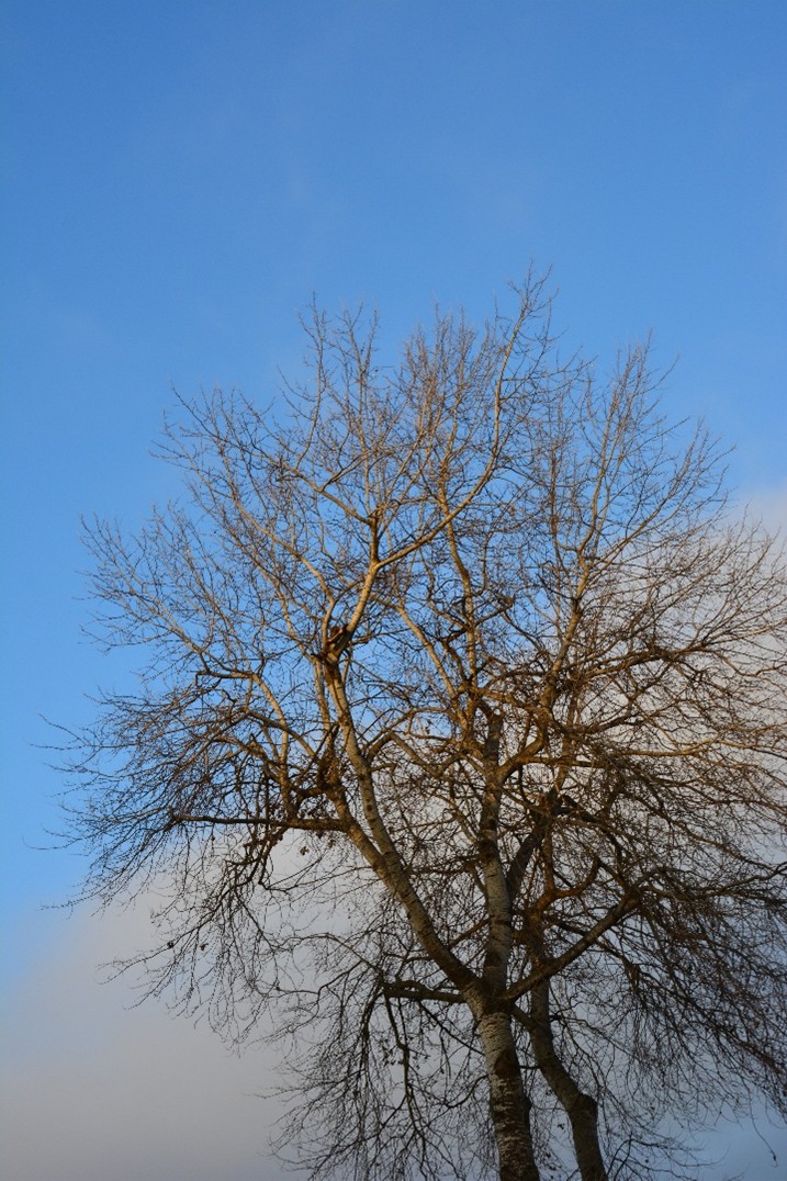 Synoptyczna prognoza pogody od 05.12.2025 do 07.12.2025 r.