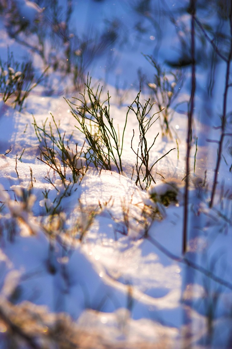 Prognoza pogody na tydzień 22.12 – 28.12.2025