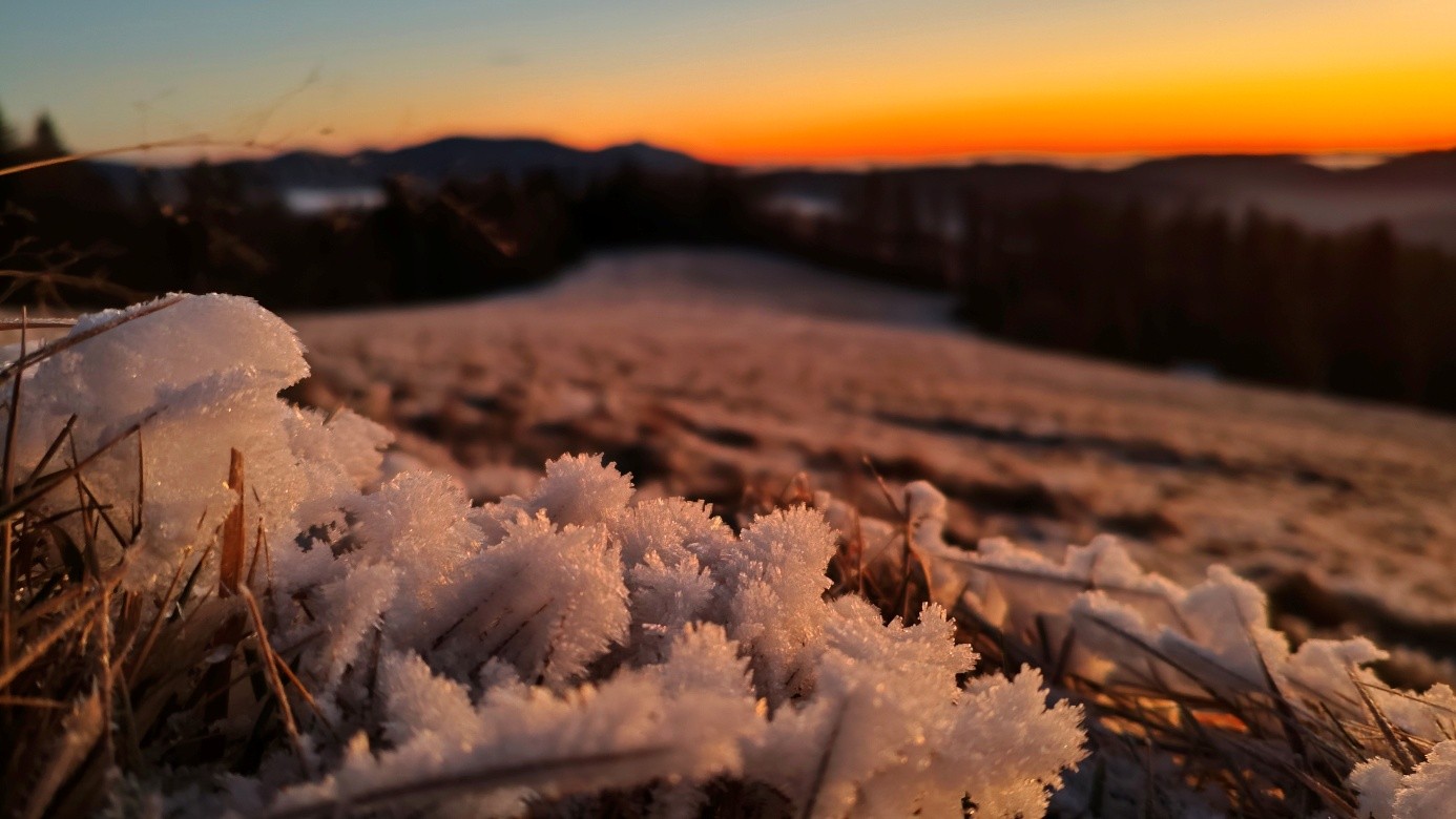 Prognoza pogody na tydzień 26.01. – 01.02.2026