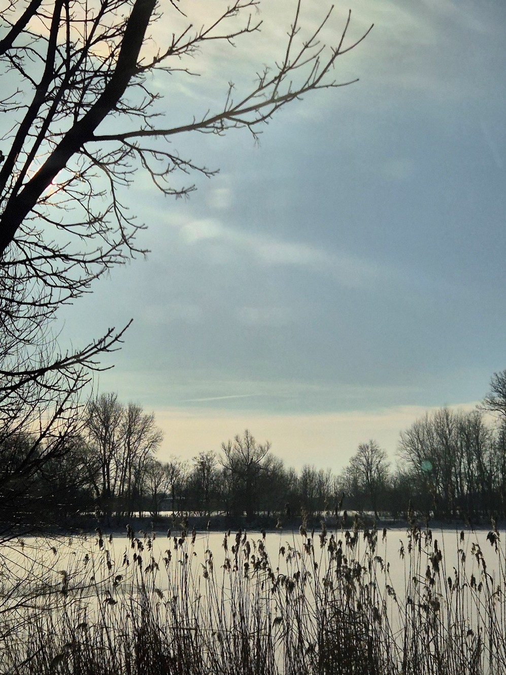 Prognoza pogody na tydzień 02.02. – 08.02.2026