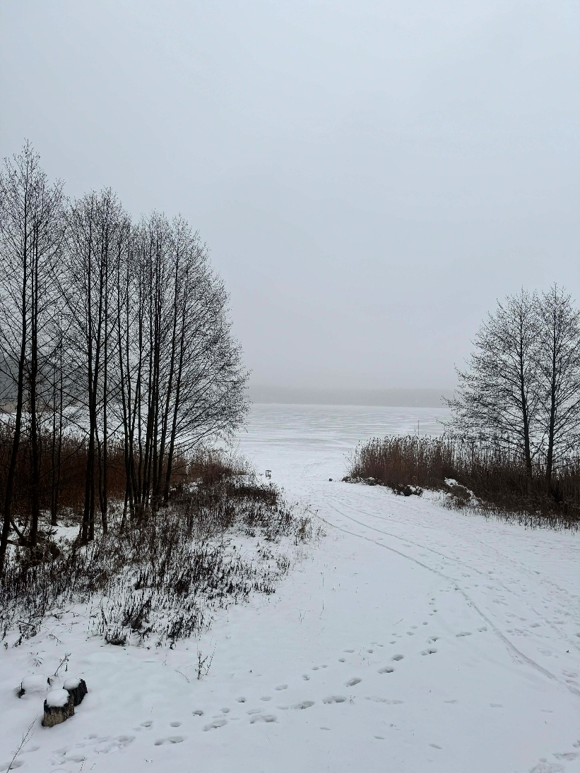 Obraz zawierający na wolnym powietrzu, niebo, natura, drzewo

Zawartość wygenerowana przez AI może być niepoprawna.