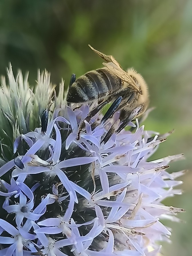 Prognoza pogody na tydzień 27.03. – 02.04.2026