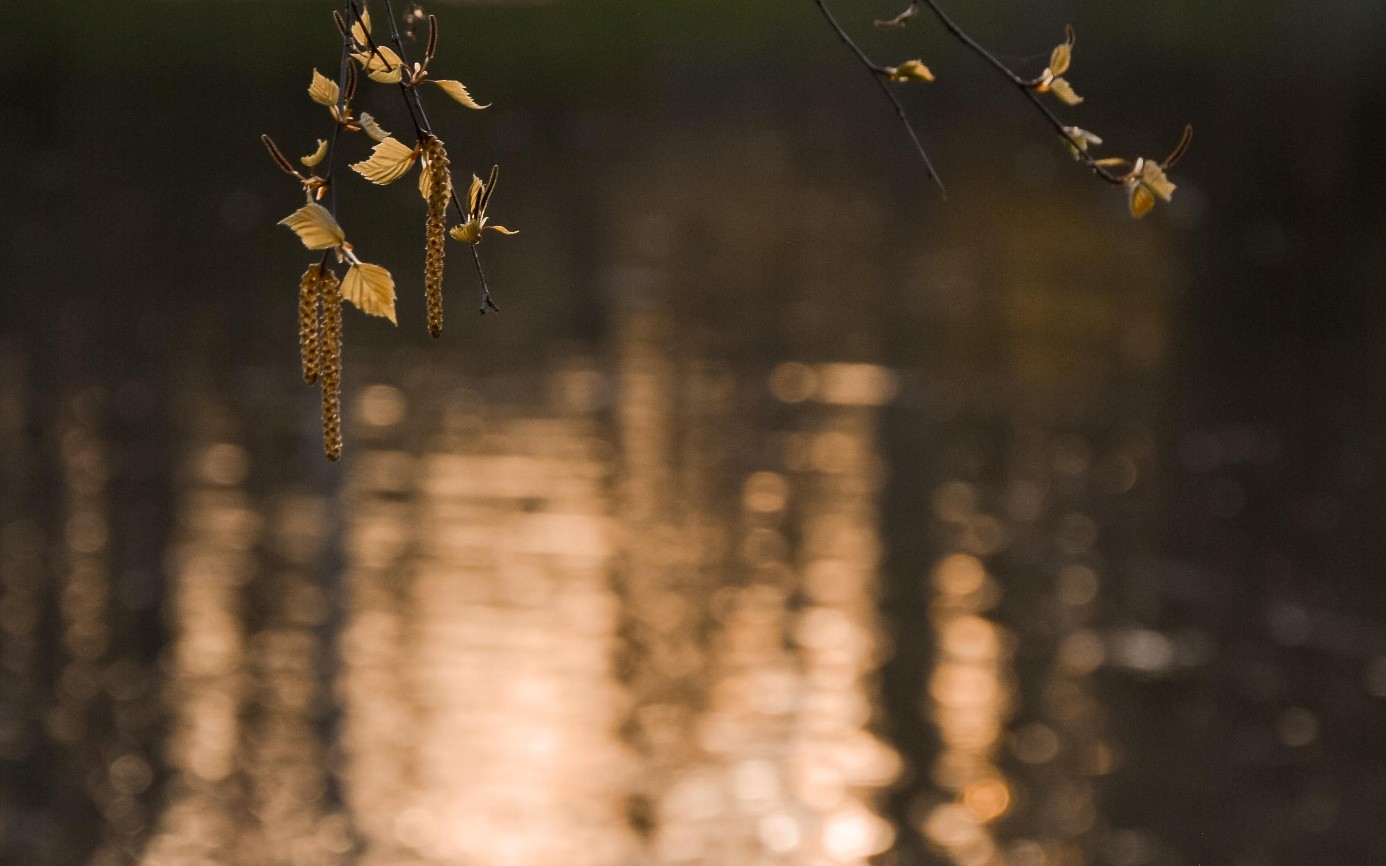 Prognoza pogody na tydzień 17.04. – 23.04.2026