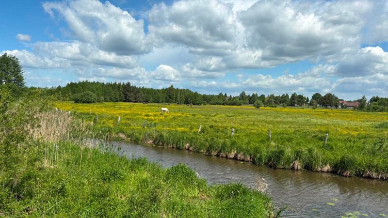 Prognoza pogody na tydzień 04.06-10.06.2026