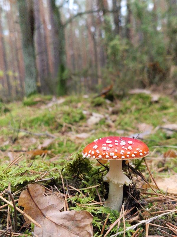 Prognoza pogody na tydzień 07.09-13.09.2026