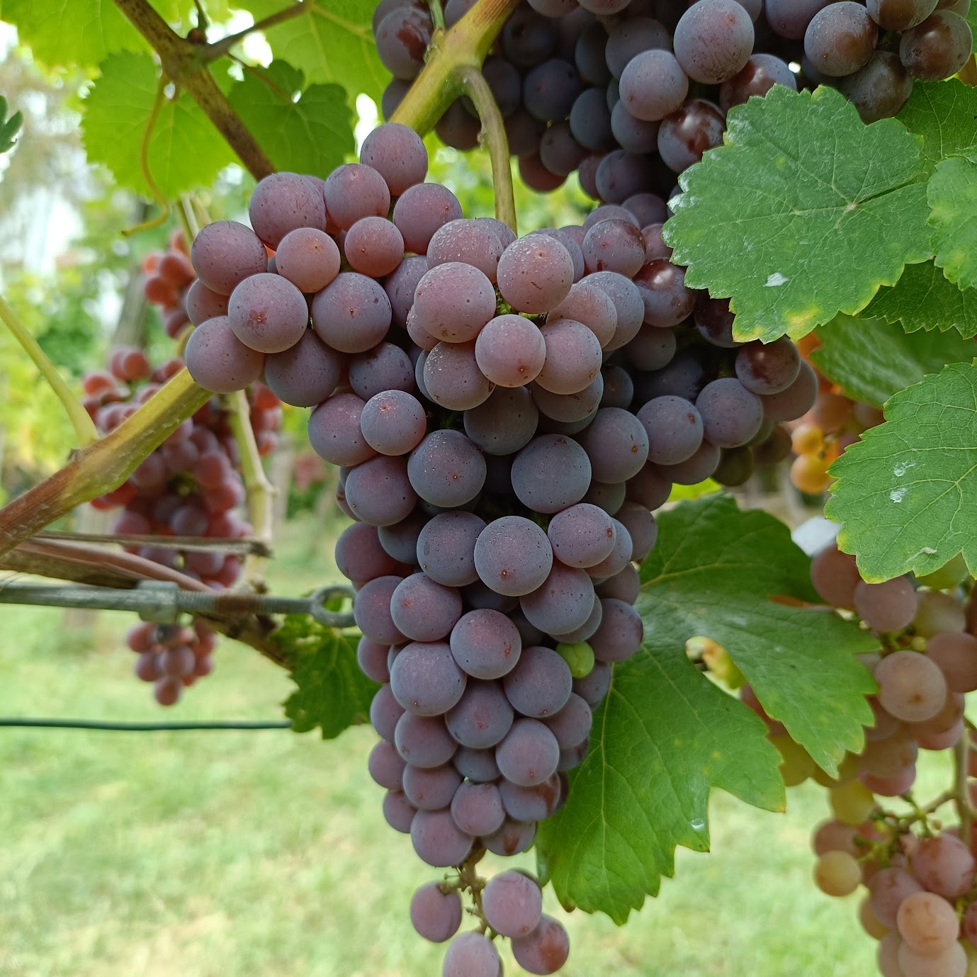 Prognoza pogody na tydzień 28.09-04.10.2026
